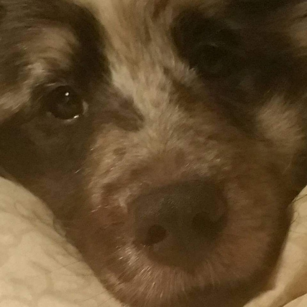 Meet your Posher, Diane